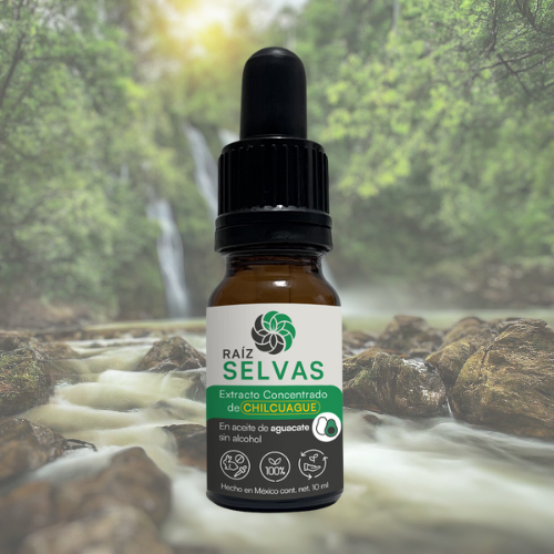 Aceite de Chilcuague Concentrado 10 ml