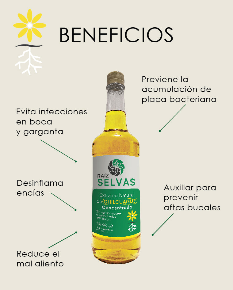 Extracto Natural de Chilcuague Concentrado 1 L