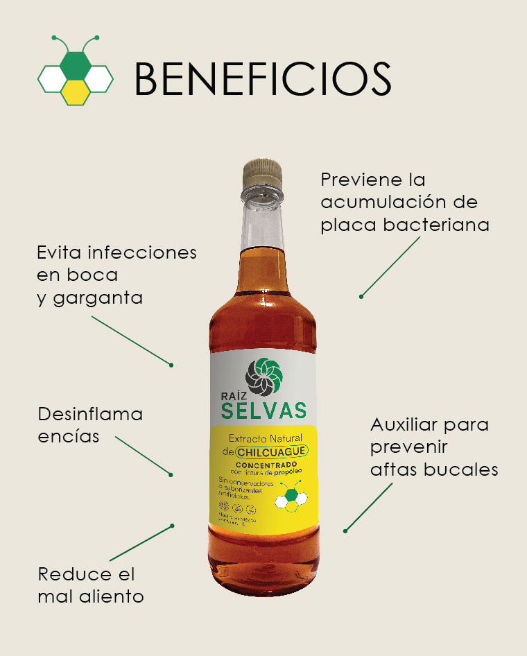 Extracto de Chilcuague Concentrado con Tintura de Propóleo 1 L